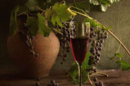 Домашнее вино из винограда