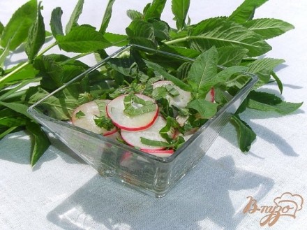 Салат из редиса, мяты и зелени