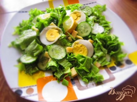 Салат с сыром и зеленью с мятно-лимонной заправкой